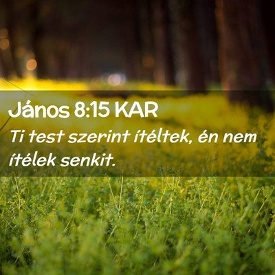 Picture 02 - János 8:15 KAR - Ti test szerint ítéltek, én nem ítélek - Bible Verse Picture