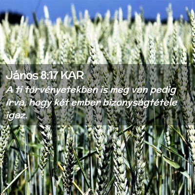 Picture 02 - János 8:17 KAR - A ti törvényetekben is meg van pedig írva, - Bible Verse Picture
