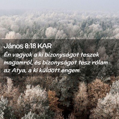 Picture 02 - János 8:18 KAR - Én vagyok a ki bizonyságot teszek magamról, - Bible Verse Picture