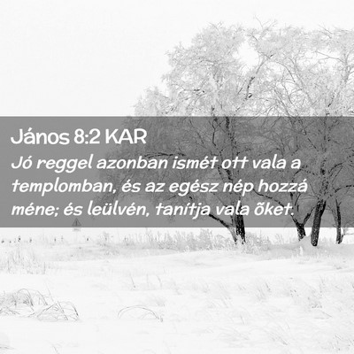 Picture 02 - János 8:2 KAR - Jó reggel azonban ismét ott vala a templomban, - Bible Verse Picture