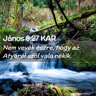 Picture 02 - János 8:27 KAR - Nem vevék észre, hogy az Atyáról szól vala - Bible Verse Picture