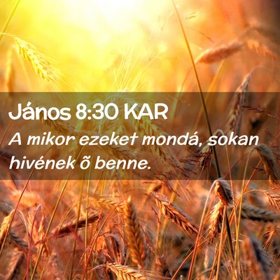 Picture 02 - János 8:30 KAR - A mikor ezeket mondá, sokan hivének õ - Bible Verse Picture