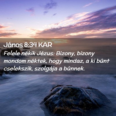 Picture 02 - János 8:34 KAR - Felele nékik Jézus: Bizony, bizony mondom - Bible Verse Picture