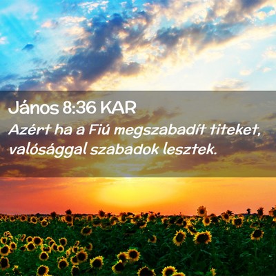 Picture 02 - János 8:36 KAR - Azért ha a Fiú megszabadít titeket, - Bible Verse Picture