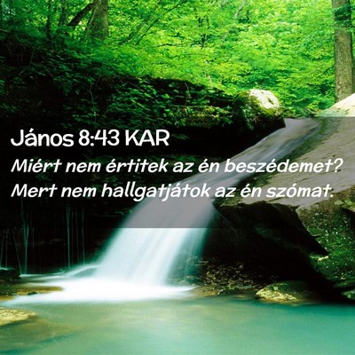 Picture 02 - János 8:43 KAR - Miért nem értitek az én beszédemet? Mert nem - Bible Verse Picture