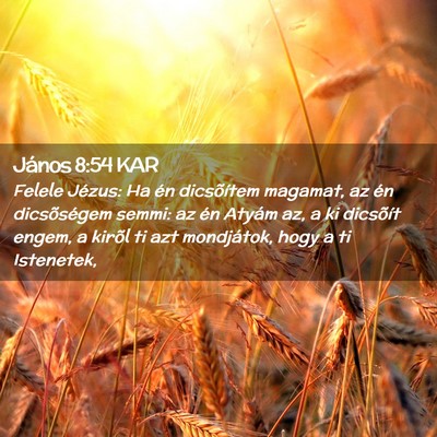 Picture 02 - János 8:54 KAR - Felele Jézus: Ha én dicsõítem magamat, az én - Bible Verse Picture