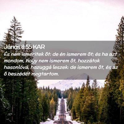 Picture 02 - János 8:55 KAR - És nem ismeritek õt: de én ismerem õt; és ha - Bible Verse Picture