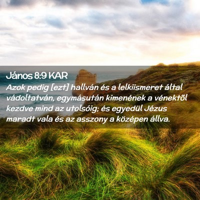 Picture 02 - János 8:9 KAR - Azok pedig [ezt] hallván és a lelkiismeret - Bible Verse Picture