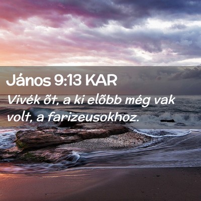 Picture 02 - János 9:13 KAR - Vivék õt, a ki elõbb még vak volt, a - Bible Verse Picture