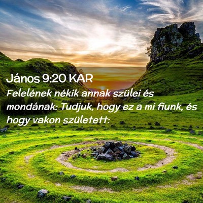 Picture 02 - János 9:20 KAR - Felelének nékik annak szülei és mondának: - Bible Verse Picture