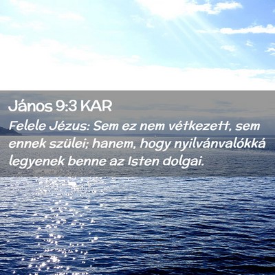 Picture 02 - János 9:3 KAR - Felele Jézus: Sem ez nem vétkezett, sem ennek - Bible Verse Picture