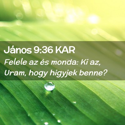 Picture 02 - János 9:36 KAR - Felele az és monda: Ki az, Uram, hogy higyjek - Bible Verse Picture
