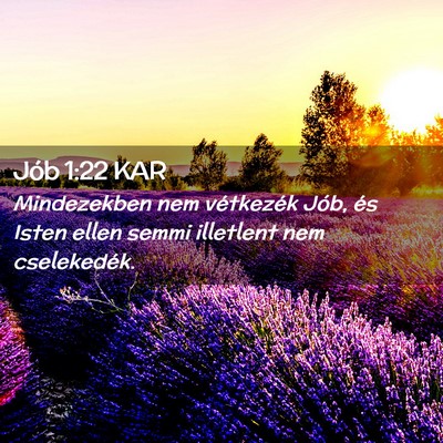 Picture 02 - Jób 1:22 KAR - Mindezekben nem vétkezék Jób, és Isten ellen - Bible Verse Picture