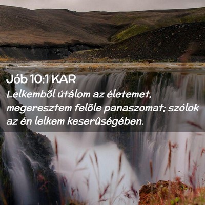 Picture 02 - Jób 10:1 KAR - Lelkembõl útálom az életemet, megeresztem - Bible Verse Picture