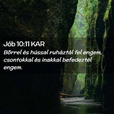 Picture 02 - Jób 10:11 KAR - Bõrrel és hússal ruháztál fel engem, - Bible Verse Picture