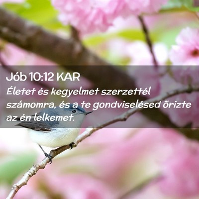 Picture 02 - Jób 10:12 KAR - Életet és kegyelmet szerzettél számomra, és - Bible Verse Picture
