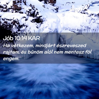 Picture 02 - Jób 10:14 KAR - Ha vétkezem, mindjárt észreveszed rajtam, és - Bible Verse Picture