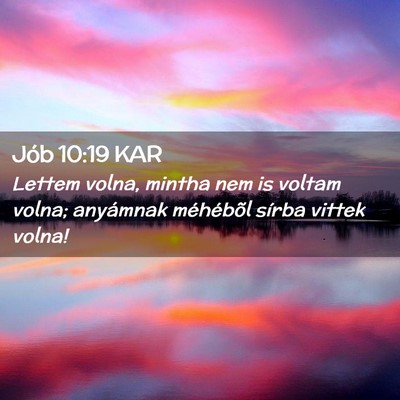 Picture 02 - Jób 10:19 KAR - Lettem volna, mintha nem is voltam volna; - Bible Verse Picture