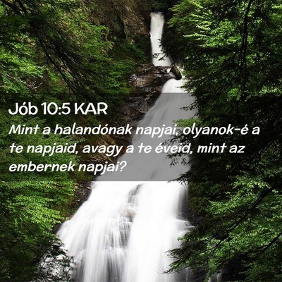 Picture 02 - Jób 10:5 KAR - Mint a halandónak napjai, olyanok-é a te - Bible Verse Picture