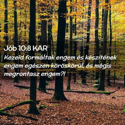 Picture 02 - Jób 10:8 KAR - Kezeid formáltak engem és készítének engem - Bible Verse Picture