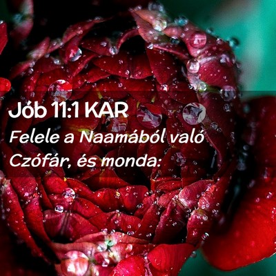 Picture 02 - Jób 11:1 KAR - Felele a Naamából való Czófár, és - Bible Verse Picture