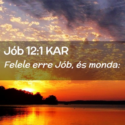 Picture 02 - Jób 12:1 KAR - Felele erre Jób, és - Bible Verse Picture
