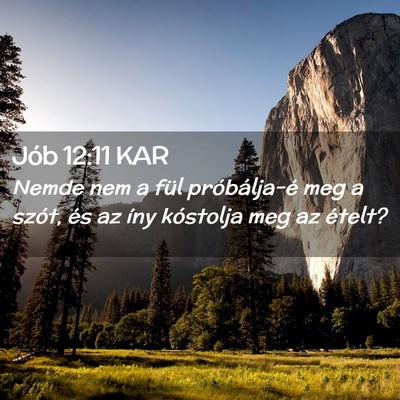 Picture 02 - Jób 12:11 KAR - Nemde nem a fül próbálja-é meg a szót, és - Bible Verse Picture