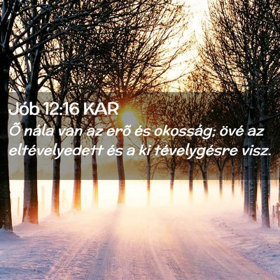 Picture 02 - Jób 12:16 KAR - Õ nála van az erõ és okosság; övé az - Bible Verse Picture