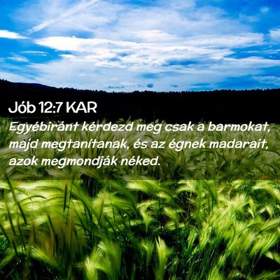 Picture 02 - Jób 12:7 KAR - Egyébiránt kérdezd meg csak a barmokat, majd - Bible Verse Picture