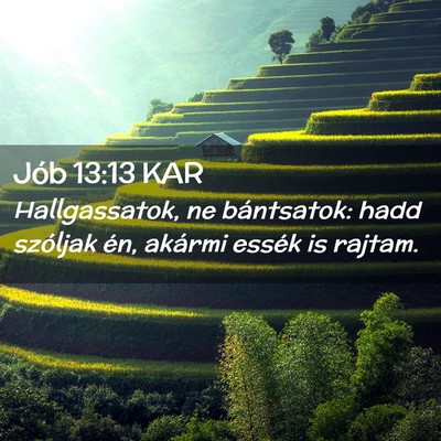 Picture 02 - Jób 13:13 KAR - Hallgassatok, ne bántsatok: hadd szóljak én, - Bible Verse Picture