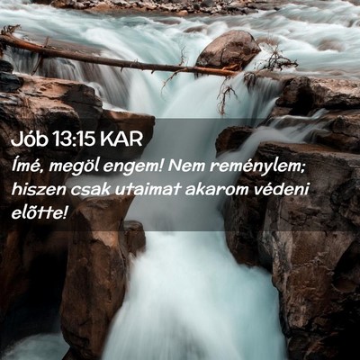 Picture 02 - Jób 13:15 KAR - Ímé, megöl engem! Nem reménylem; hiszen csak - Bible Verse Picture
