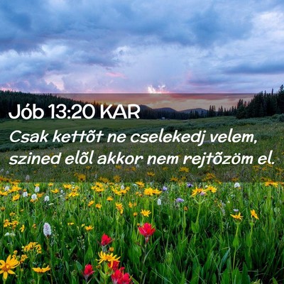 Picture 02 - Jób 13:20 KAR - Csak kettõt ne cselekedj velem, szined elõl - Bible Verse Picture