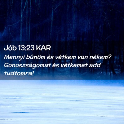 Picture 02 - Jób 13:23 KAR - Mennyi bûnöm és vétkem van nékem? - Bible Verse Picture