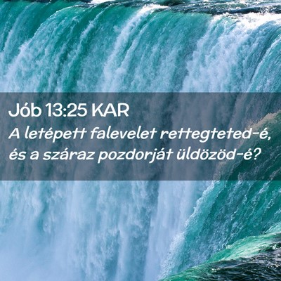 Picture 02 - Jób 13:25 KAR - A letépett falevelet rettegteted-é, és a - Bible Verse Picture