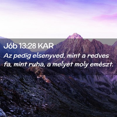 Picture 02 - Jób 13:28 KAR - Az pedig elsenyved, mint a redves fa, mint ruha, - Bible Verse Picture