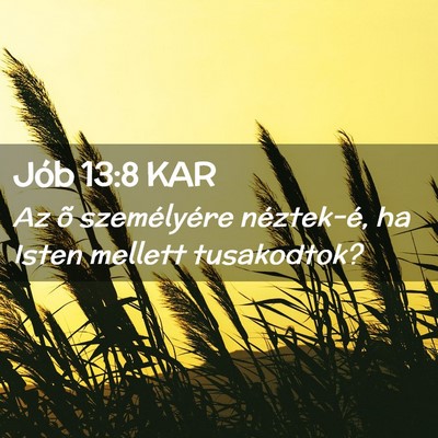 Picture 02 - Jób 13:8 KAR - Az õ személyére néztek-é, ha Isten mellett - Bible Verse Picture