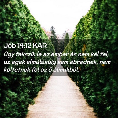 Picture 02 - Jób 14:12 KAR - Úgy fekszik le az ember és nem kél fel; az - Bible Verse Picture