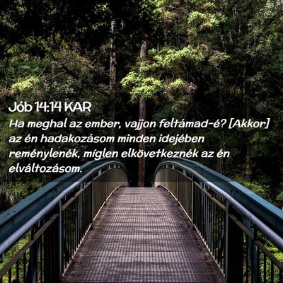 Picture 02 - Jób 14:14 KAR - Ha meghal az ember, vajjon feltámad-é? [Akkor] - Bible Verse Picture