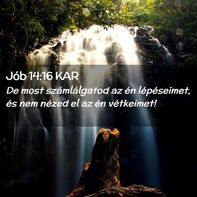 Picture 02 - Jób 14:16 KAR - De most számlálgatod az én lépéseimet, és - Bible Verse Picture