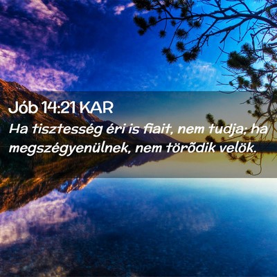 Picture 02 - Jób 14:21 KAR - Ha tisztesség éri is fiait, nem tudja; ha - Bible Verse Picture