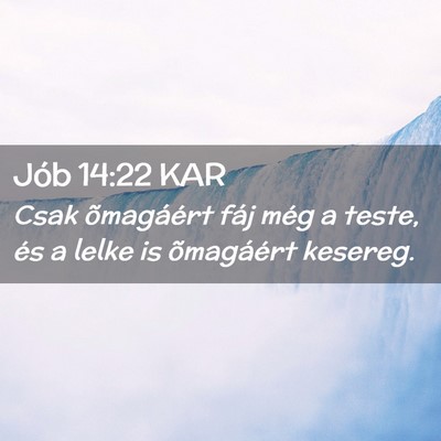 Picture 02 - Jób 14:22 KAR - Csak õmagáért fáj még a teste, és a lelke - Bible Verse Picture