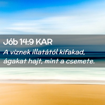Picture 02 - Jób 14:9 KAR - A víznek illatától kifakad, ágakat hajt, mint - Bible Verse Picture