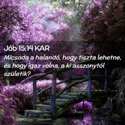 Picture 02 - Jób 15:14 KAR - Micsoda a halandó, hogy tiszta lehetne, és hogy - Bible Verse Picture