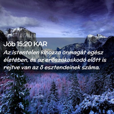 Picture 02 - Jób 15:20 KAR - Az istentelen kínozza önmagát egész - Bible Verse Picture