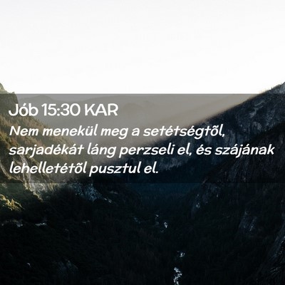 Picture 02 - Jób 15:30 KAR - Nem menekül meg a setétségtõl, sarjadékát - Bible Verse Picture