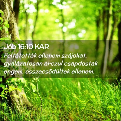 Picture 02 - Jób 16:10 KAR - Feltátották ellenem szájokat, gyalázatosan - Bible Verse Picture