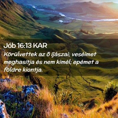 Picture 02 - Jób 16:13 KAR - Körülvettek az õ íjászai; veséimet - Bible Verse Picture