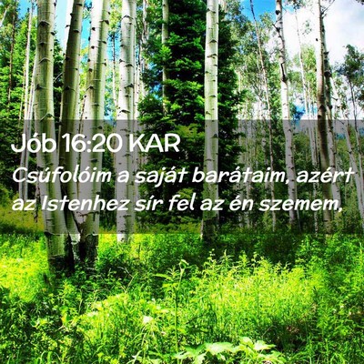 Picture 02 - Jób 16:20 KAR - Csúfolóim a saját barátaim, azért az - Bible Verse Picture