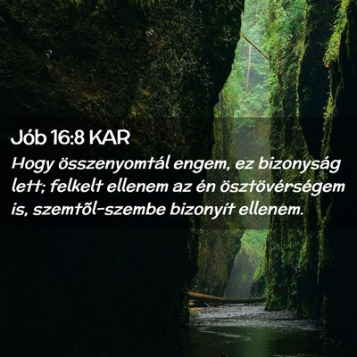 Picture 02 - Jób 16:8 KAR - Hogy összenyomtál engem, ez bizonyság lett; - Bible Verse Picture