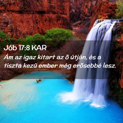 Picture 02 - Jób 17:8 KAR - Ám az igaz kitart az õ útján, és a tiszta - Bible Verse Picture